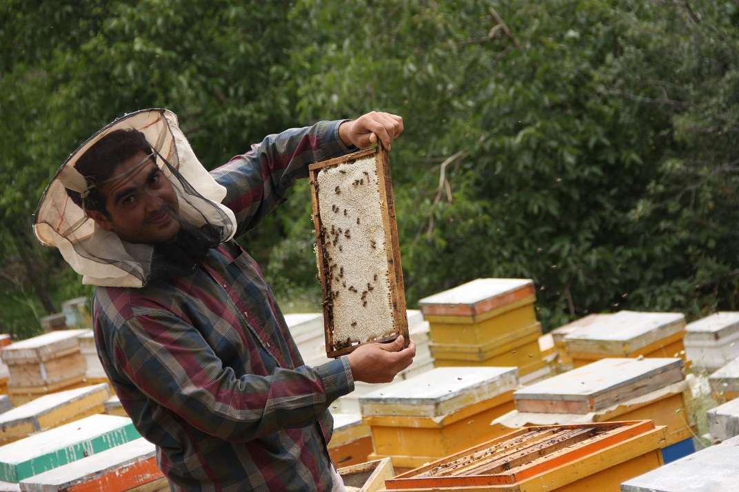 گروه زنبورداری افشین