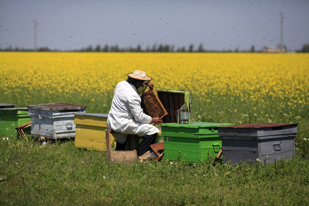 گالری تصاویر